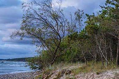 欧意交易所-欧意交易所（OKX）一站式下载指南，安全高效开启加密交易